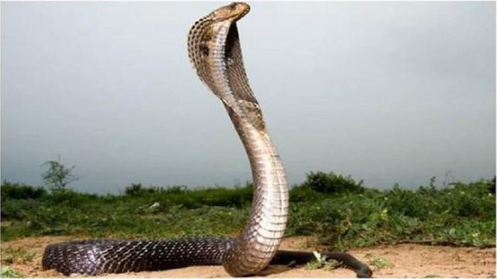 প্রতীকী ছবি