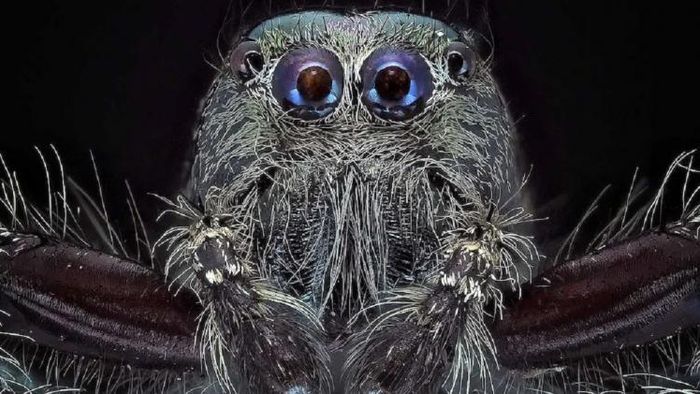 ছবি-গেটি