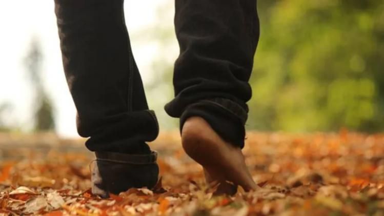 ভোরে না রাতে খাওয়ার পর হাঁটবেন? এই ৫ ফায়দা পেতে জানতেই হবে