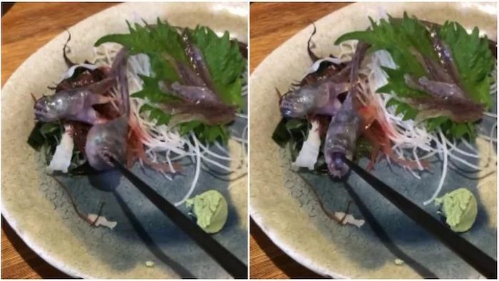 উদ্ভট খাবার