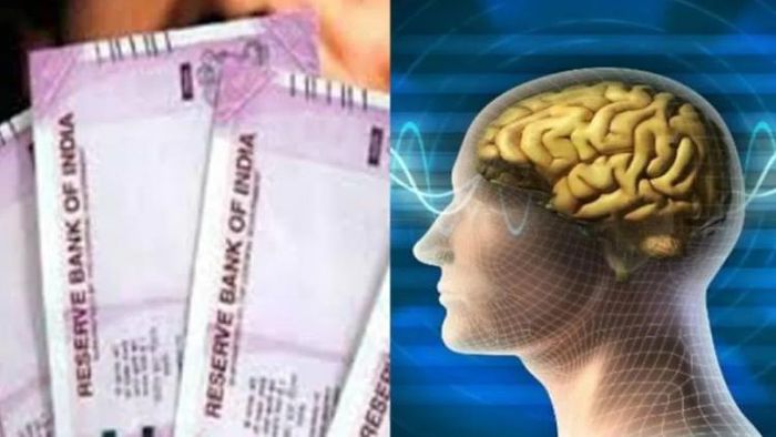 পয়সা কামাতে হলে বুদ্ধি কাজে লাগান আর তিনটি বিষয় মাথায় রাখুন