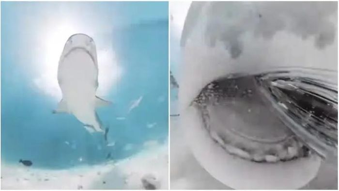 অভাবনীয় দৃশ্য