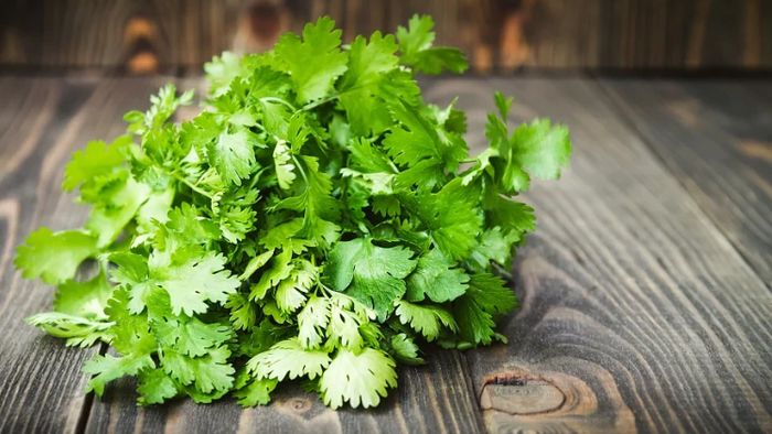 ধনেপাতার জল ওজন কমাতে খুবই কার্যকরী