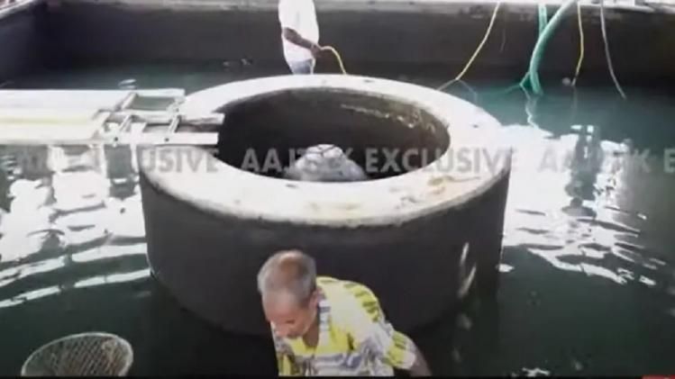 প্রকাশ্যে জ্ঞানব্যাপীর 'শিবলঙ্গে'র Video, দেওয়াল মিলল ত্রিশূলের চিহ্ন