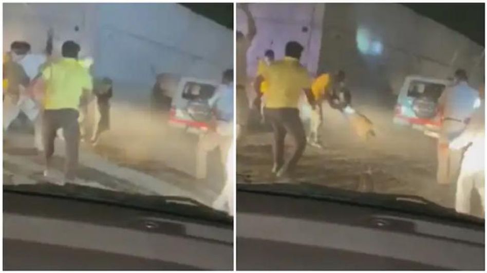 পুলিশ ও বনকর্মীর ওপর হামলা চিতাবাঘের, দেখুন রোমহর্ষক Video পুলিশ ও বনকর্মীর ওপর হামলা চিতাবাঘের, দেখুন রোমহর্ষক Video