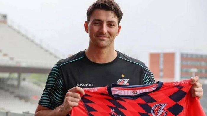 টিম ডেভিড