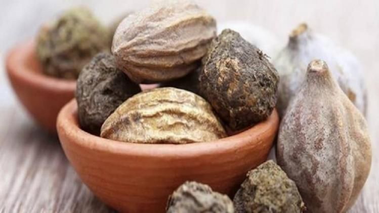 ক্যান্সার ও ডায়াবেটিস রোধে অব্যর্থ, রইল ত্রিফলার ১০ চমৎকারী গুণ 