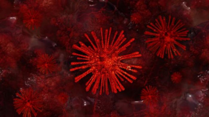 ছবিটি প্রতীকী