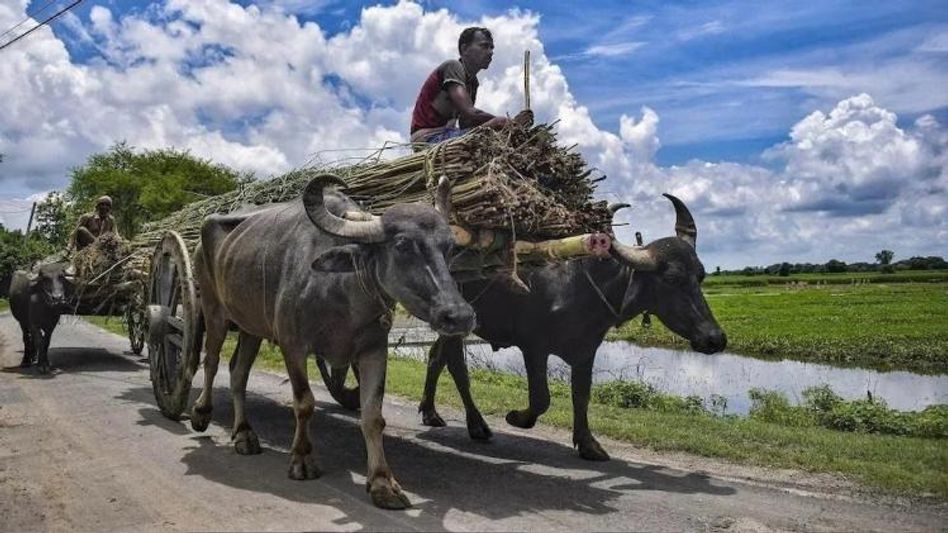সুখবর! এই মাসেই অ্যাকাউন্টে ঢুকবে কিষাণ যোজনার টাকা সুখবর! এই মাসেই অ্যাকাউন্টে ঢুকবে কিষাণ যোজনার টাকা