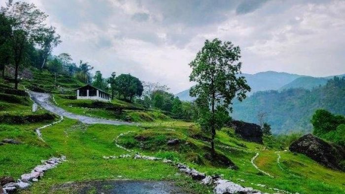 দলাপচাঁদ ছবি সৌজন্য-whatshot.in