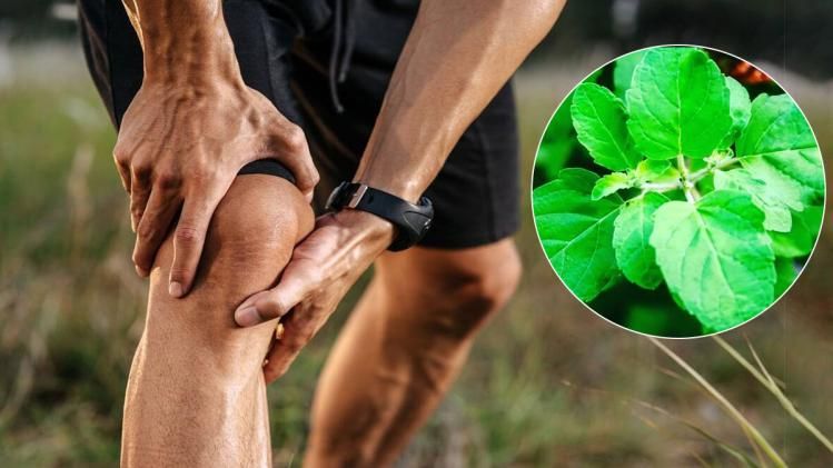 Internetdagi eng yaxshi sifatdagi seksual qollab-quvvatlash guruhi videolari