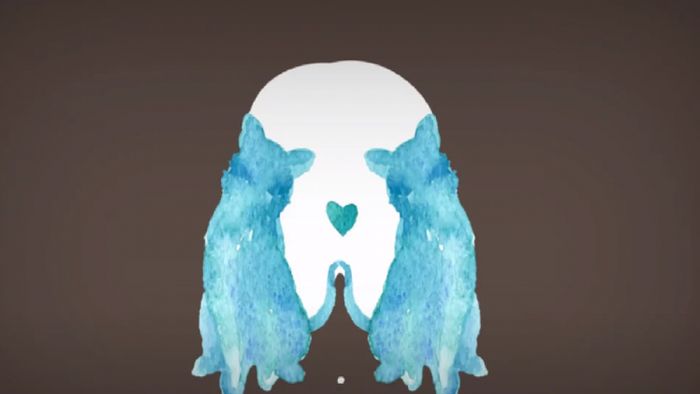 ছবিতে প্রথম কুকুর নাকি বিড়াল?