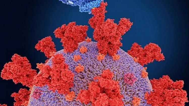 ফের আতঙ্ক বাড়াচ্ছে করোনা, রাজ্যের এই ৫ জায়গায় ঊর্ধ্বমুখী সংক্রমণ