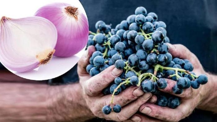 প্রতীকী ছবি