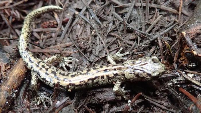 সরকারি চাকরি পেতে আগ্রহী প্রার্থীদের জন্য ইন্টারভিউ রাউন্ড ক্লিয়ার করা সবচেয়ে কঠিন কাজ (প্রতীকী ছবি)