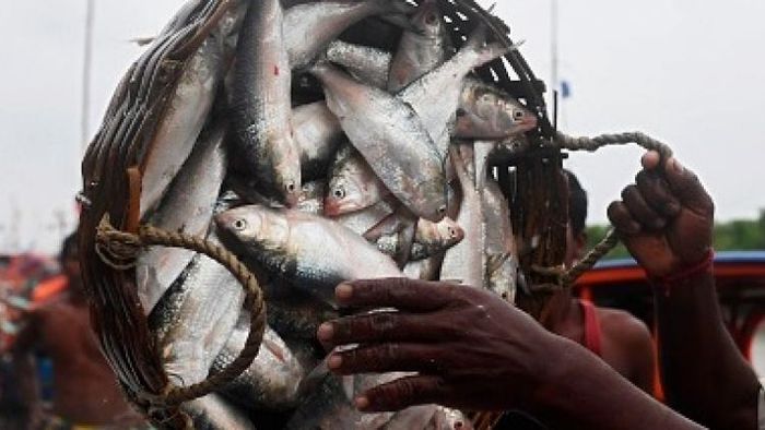 ফাইল ছবি