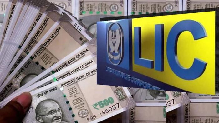 এলআইসি জীবন রেখা পলিসিতে মহিলাদের জন্য ছাড় রয়েছে (প্রতীকী ছবি)