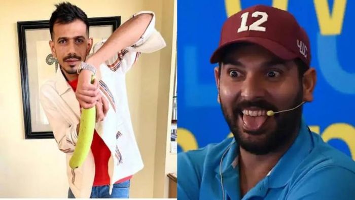 চাহাল ও যুবরাজ