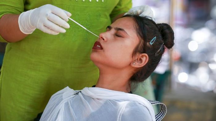 ফাইল ছবি