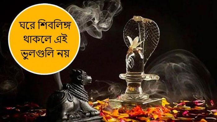 ঘরে শিবলিঙ্গ থাকলে এই ভুলগুলি কদাপি নয়।
