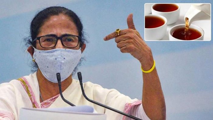 মুখ্যমন্ত্রী মমতা বন্দ্যোপাধ্যায় চা নিয়ে পরামর্শ দিয়েছেন