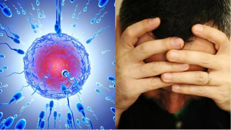 এভাবে কমতে থাকে স্পার্ম কাউন্ট, বাবা হতে চাইলে এখনই সাবধান হন