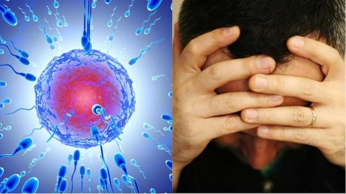 পুরুষদের স্পার্ম কাউন্ট কমলে সাবধান