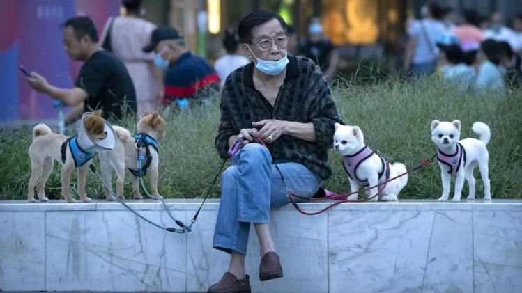 চিনারা ভারতীয়দের চেয়ে বেশি বাঁচে, কতটা পিছিয়ে ভারত?