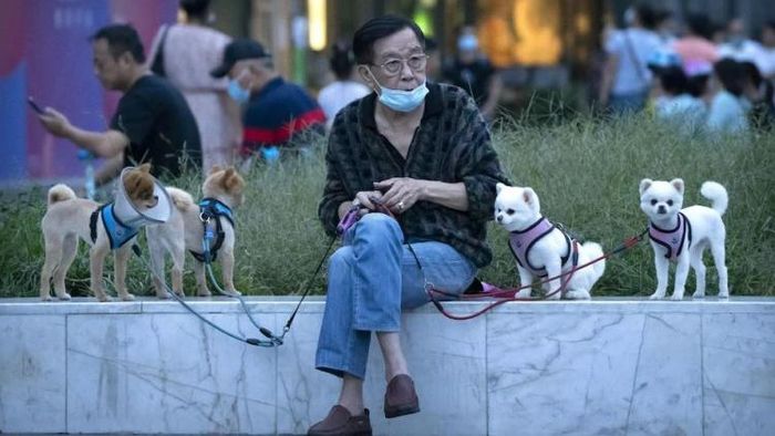 চিনারা ৭৭ বছরের বেশি বেঁচে থাকলেও ভারতীয়দের গড় বয়স ৭৭ বছরের কম।