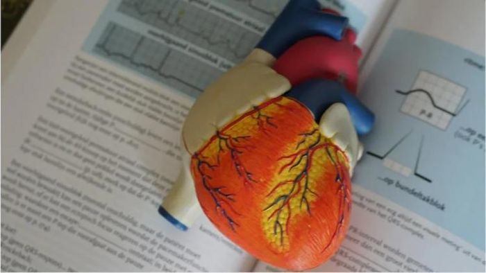 শরীরে কোলেস্টেরলের মাত্রা বাড়ার কোনও লক্ষণ দেখা না-ও যেতে পারে (প্রতীকী ছবি)