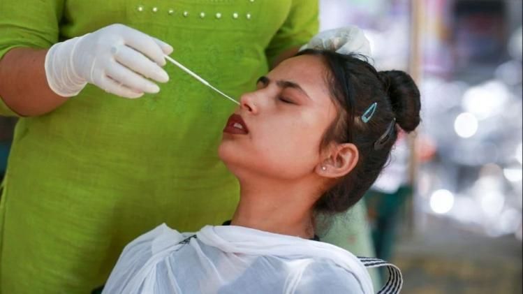 নয়া ভাইরাসের ভ্রুকুটি, মারবার্গ COVID-এর থেকেও মারাত্মক?