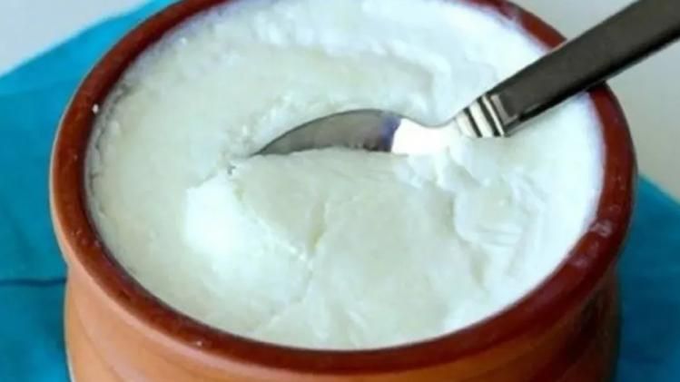 দইয়ের সঙ্গে এই ৫ খাবার একদম নয়, খেলেই পেট গোলমাল, অ্যালার্জি