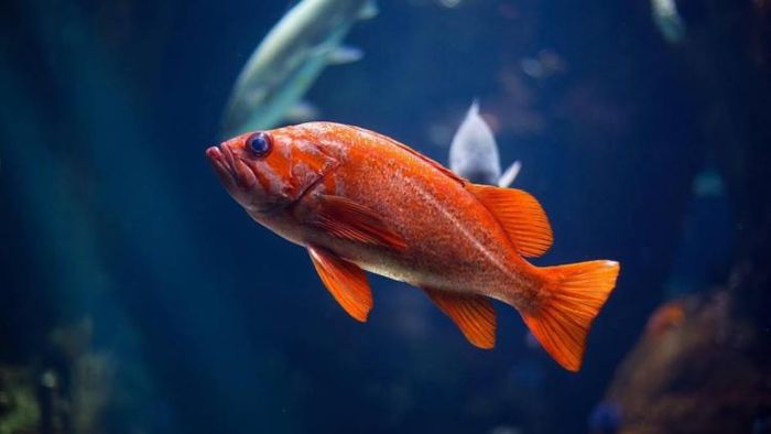 প্রতীকী ছবি