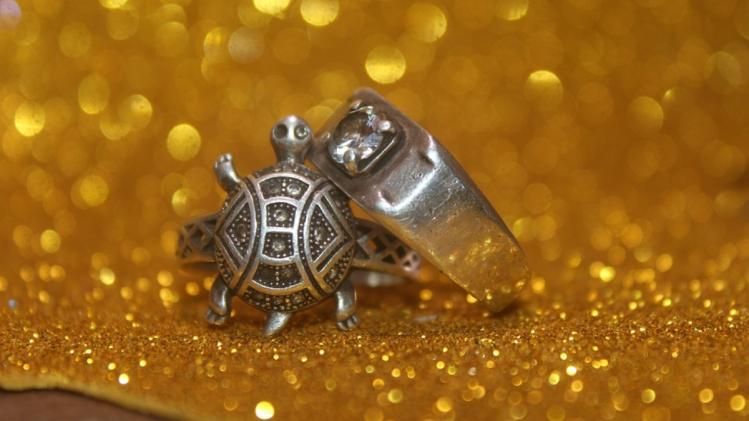 কচ্ছপের আংটি (ফাইল ছবি)