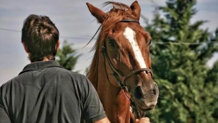 প্রতীকী ছবি