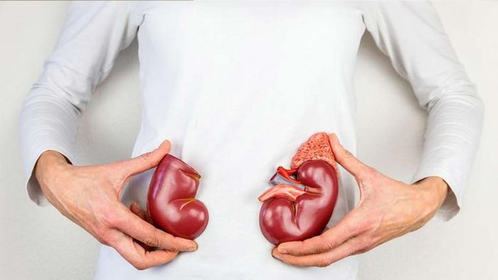 কিডনির সমস্যা থাকলে এই খাবারগুলি এড়িয়ে চলুন।