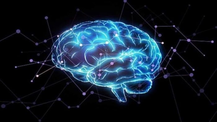 ব্রেন শার্প করতে এই কাজগুলো করুন (প্রতীকী ছবি)