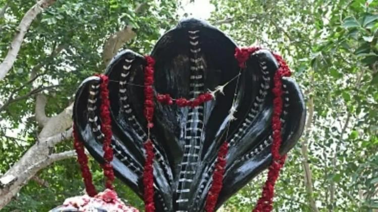 নাগ পঞ্চমী কবে পড়েছে? দূর হবে কালসর্প-দোষ, জানুন পুজোর বিধি