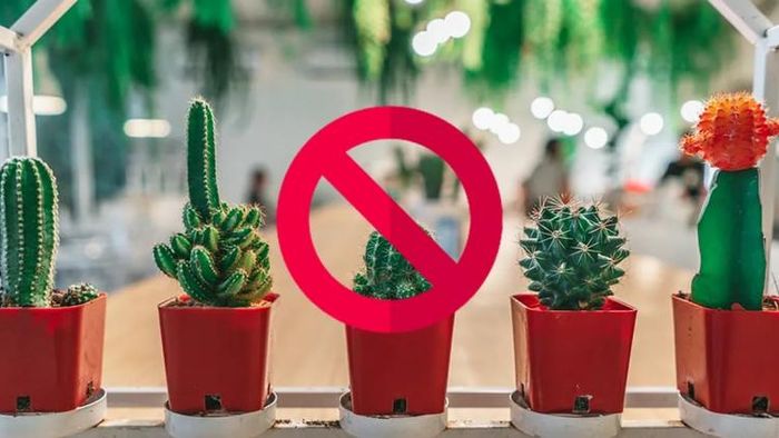 Vastu: বাড়িতে এই গাছ লাগালে সংসারে অশান্তি-দারিদ্র লেগেই থাকে