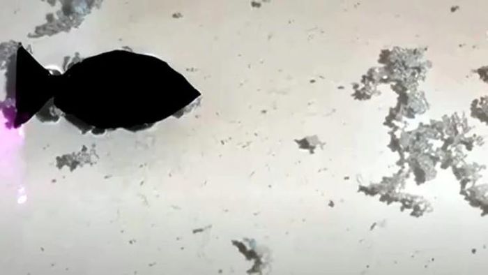 প্লাস্টিক সমস্যা সমাধানে কাজে দেবে এই রোবট