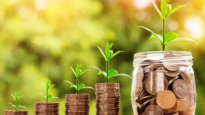 PNB ১০ থেকে ২০ বিপিএস হার বাড়িয়েছে