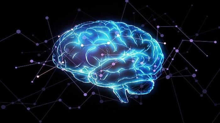 মানুষের মস্তিষ্কে কতটা মেমরি জানেন?