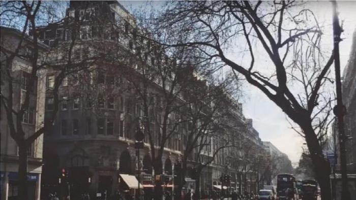 চোখের সামনেই কিন্তু কোথায় লুকিয়ে রয়েছে কুকুর ভাল করে দেখুন