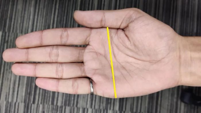 সিমিয়ান লাইন