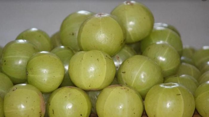 প্রতীকী ছবি