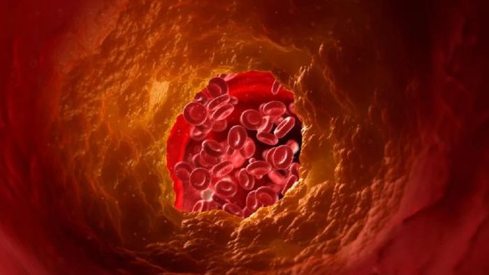 প্রতীকী ছবি