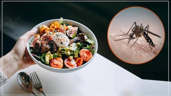 Dengue Fever Diet: ডেঙ্গিতে প্রাণ বাঁচাবে এই ডায়েট, সুস্থ হবেন দ্রুত