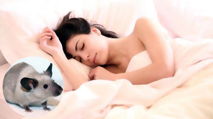 প্রতীকী ছবি