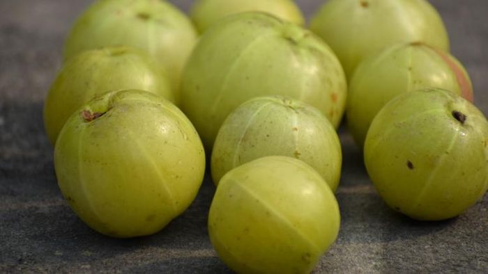 আমলকি। প্রতীকী ছবি