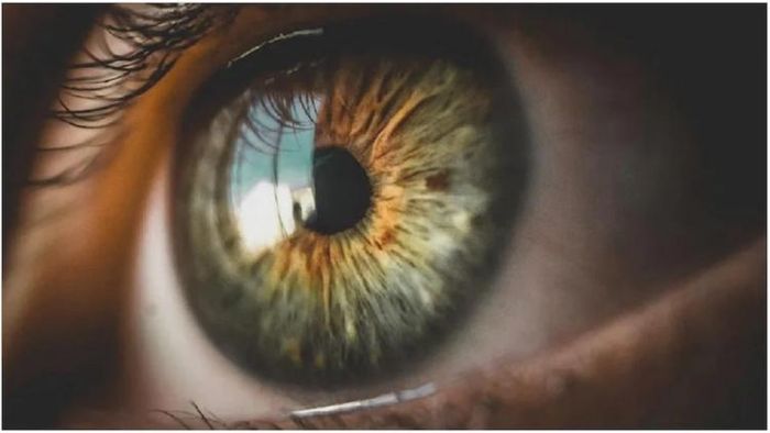 প্রতীকী ছবি